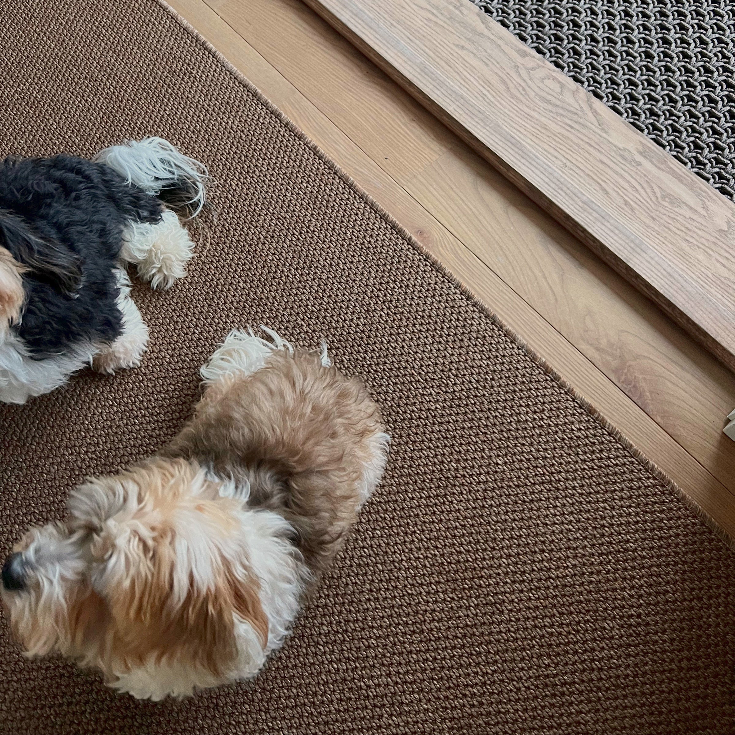 The Innerweave - Tigers Eye (Natural) / 5 x 7 Area Mat