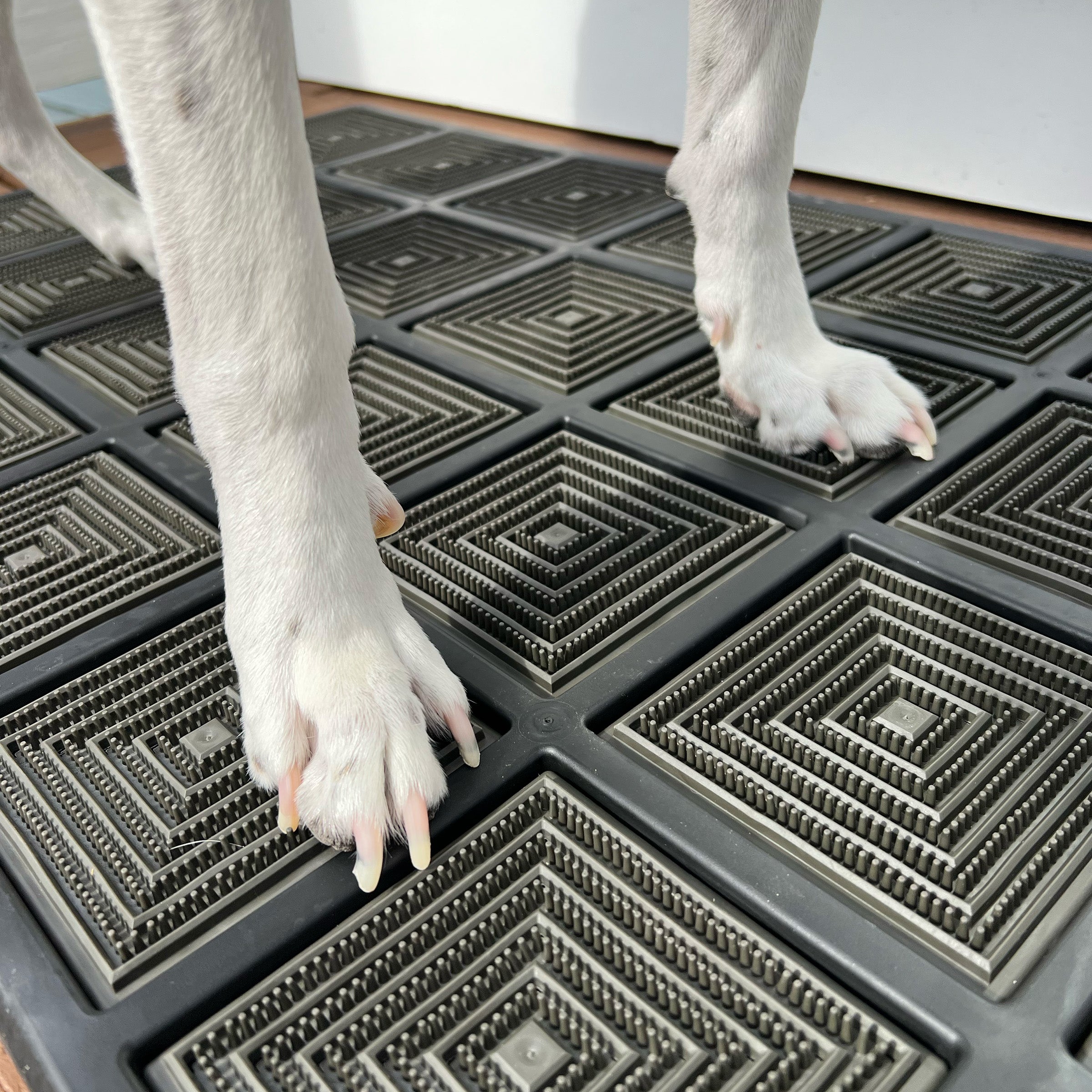 The Outlier - Nori / Doormat