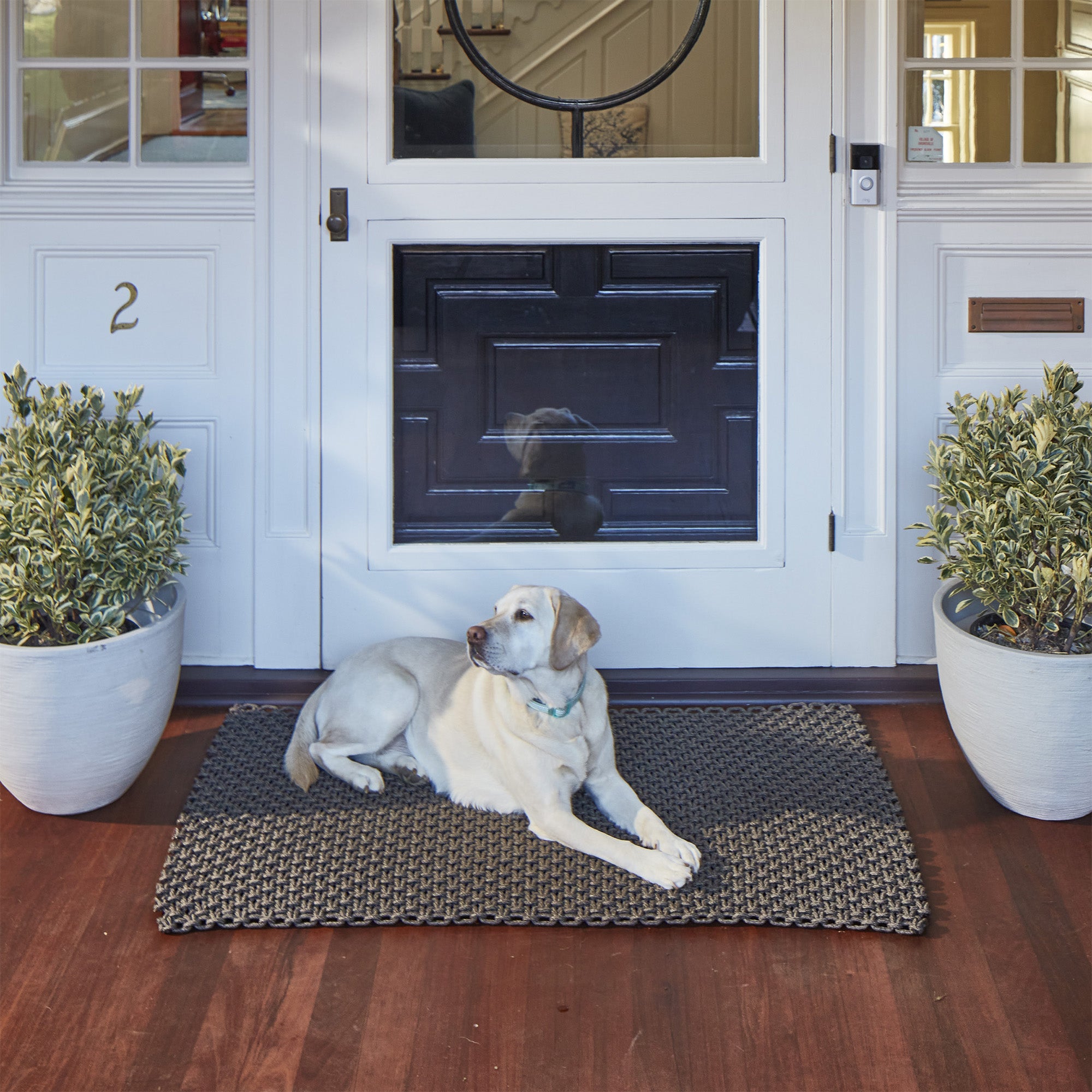 The Porter - Truffle / Standard