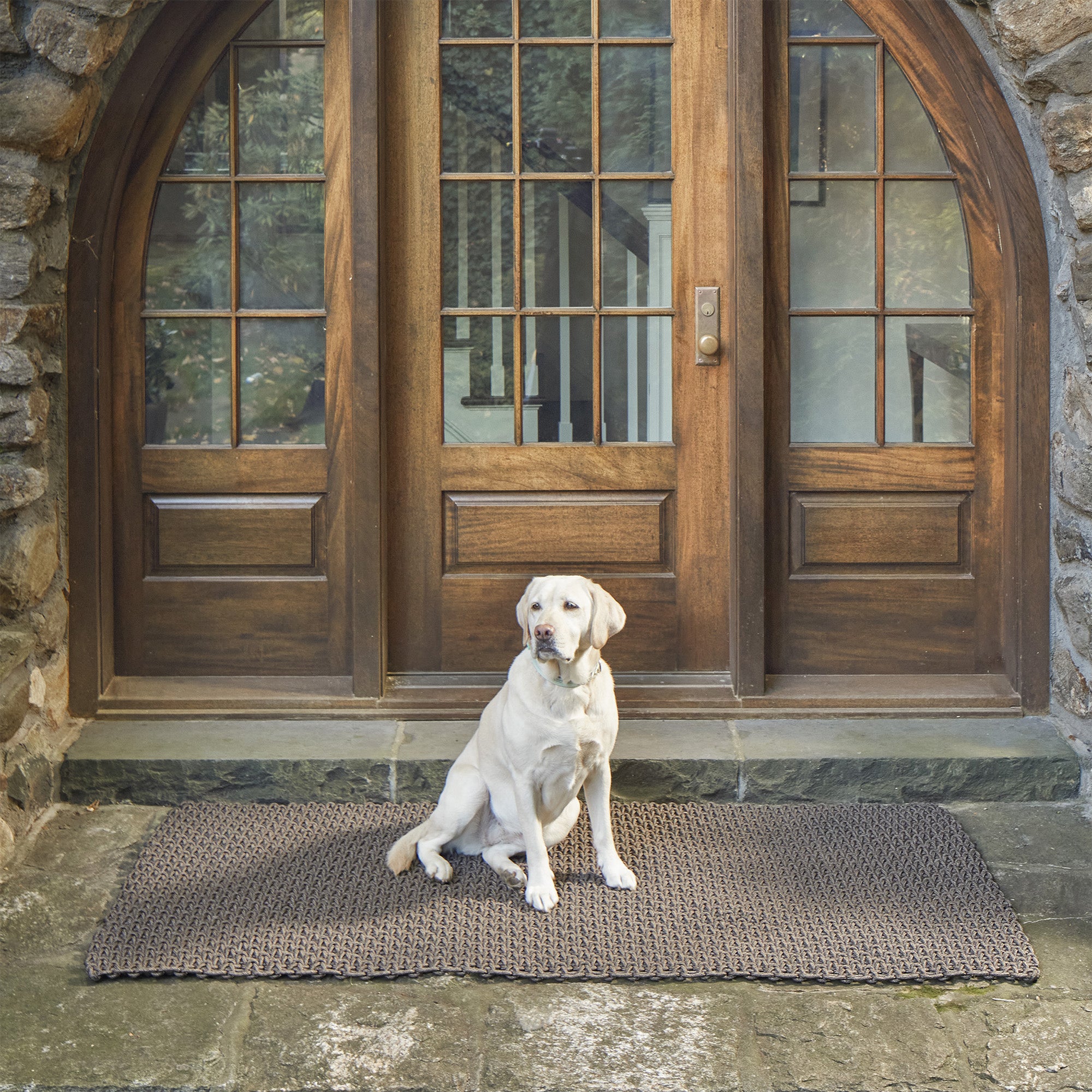 The Porter - Truffle / Double